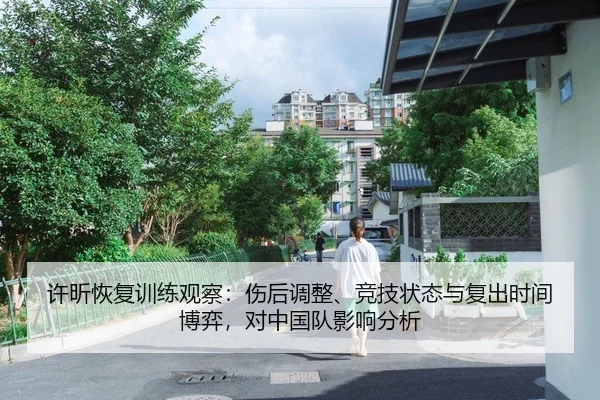 许昕恢复训练观察：伤后调整、竞技状态与复出时间博弈，对中国队影响分析